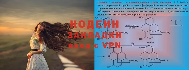 darknet наркотические препараты  Каргополь  Кодеин напиток Lean (лин)  где найти наркотики 