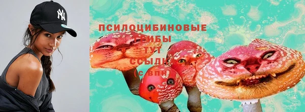 трава Надым