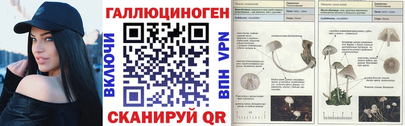 Галлюциногенные грибы Cubensis Каргополь