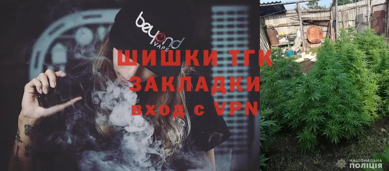 Канабис OG Kush  Каргополь 